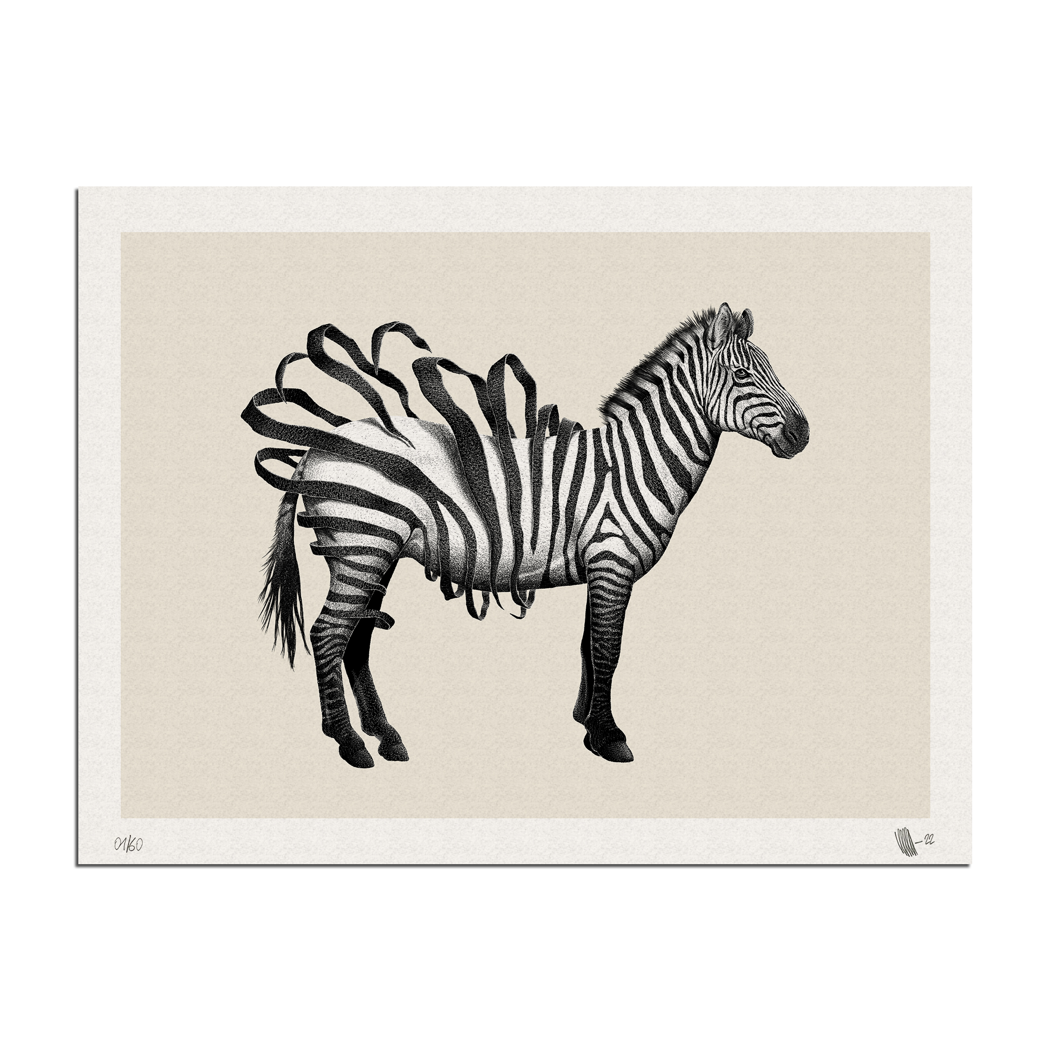 ZEBRE
